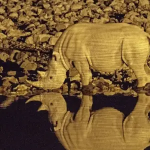 Explore Between Sossusvlei and Etosha for 13 days with DIAMIR Erlebnisreisen and discover unforgettable experiences - Photo 3