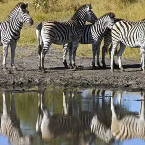 Explore Waves, Wine and Wilderness for 15 days with DIAMIR Erlebnisreisen and discover unforgettable experiences - Photo 8