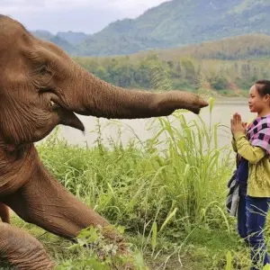 Explore In the Heart of Indochina for 12 days with DIAMIR Erlebnisreisen and discover unforgettable experiences - Photo 6