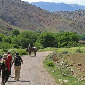 Explore Atlantic heights and palm oases for 15 days with DIAMIR Erlebnisreisen and discover unforgettable experiences - Photo 6