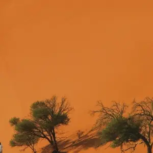 Explore From Etosha National Park to Fish River Canyon for 21 days with DIAMIR Erlebnisreisen and discover unforgettable experiences - Photo 4