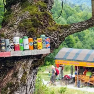 Explore Peaks of Balkan - Mountain Hiking at its Best with Ascent of Trekufiri (2366 m) for 8 days with DIAMIR Erlebnisreisen and discover unforgettable experiences - Photo 7