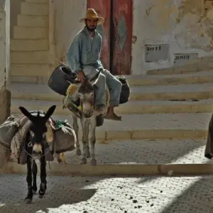 Explore Moroccan mosaic for 8 days with DIAMIR Erlebnisreisen and discover unforgettable experiences - Photo 8