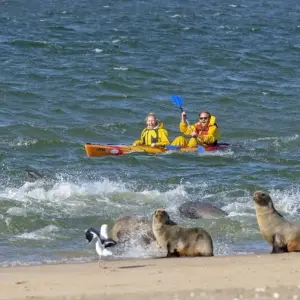 Explore From Etosha National Park to Fish River Canyon for 21 days with DIAMIR Erlebnisreisen and discover unforgettable experiences - Photo 5