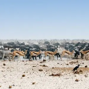 Explore Between Sossusvlei and Etosha for 13 days with DIAMIR Erlebnisreisen and discover unforgettable experiences - Photo 5