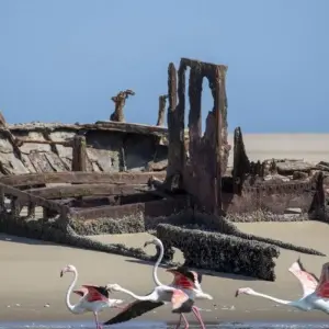 Explore From the Desert Sea to the Zambezi for 16 days with DIAMIR Erlebnisreisen and discover unforgettable experiences - Photo 5