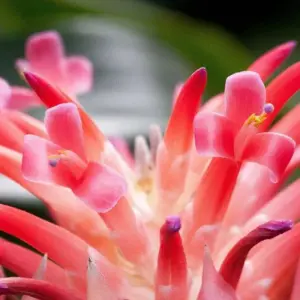 Explore Mountains of Fire and Cave Adventures for 17 days with DIAMIR Erlebnisreisen and discover unforgettable experiences - Photo 11