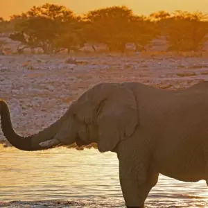 Explore Between Sossusvlei and Etosha for 13 days with DIAMIR Erlebnisreisen and discover unforgettable experiences - Photo 6