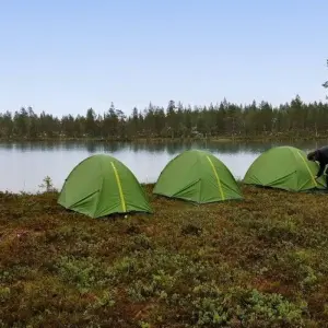 Explore Abandoned by Helicopter for 7 days with DIAMIR Erlebnisreisen and discover unforgettable experiences - Photo 9