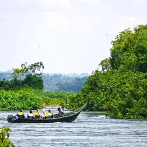 Explore Green pearl on the African Equator for 15 days with DIAMIR Erlebnisreisen and discover unforgettable experiences - Photo 2