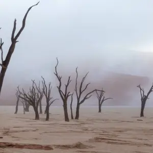 Explore From the Desert Sea to the Zambezi for 16 days with DIAMIR Erlebnisreisen and discover unforgettable experiences - Photo 7