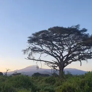 Explore Rhinos between Usambara Mountains and Kilimanjaro for 9 days with DIAMIR Erlebnisreisen and discover unforgettable experiences - Photo 9