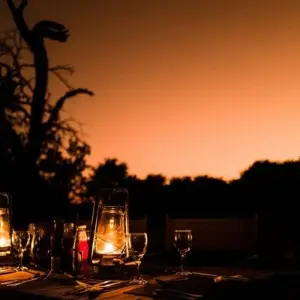 Explore From the Desert Sea to the Zambezi for 16 days with DIAMIR Erlebnisreisen and discover unforgettable experiences - Photo 8