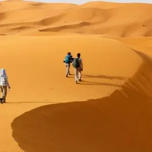 Explore Atlantic heights and palm oases for 15 days with DIAMIR Erlebnisreisen and discover unforgettable experiences - Photo 11