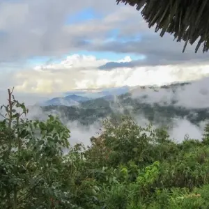 Explore Rhinos between Usambara Mountains and Kilimanjaro for 9 days with DIAMIR Erlebnisreisen and discover unforgettable experiences - Photo 10