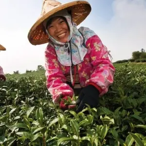 Explore Ilha Formosa - Between Confucius and Jade Mountain for 16 days with DIAMIR Erlebnisreisen and discover unforgettable experiences - Photo 10