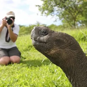 Explore Highlights of Ecuador and Galapagos Island Hopping for 18 days with DIAMIR Erlebnisreisen and discover unforgettable experiences - Photo 3