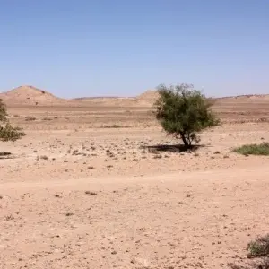 Explore In the land of the Soomaali for 10 days with DIAMIR Erlebnisreisen and discover unforgettable experiences - Photo 2