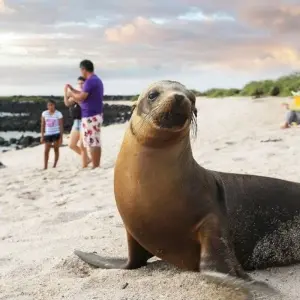 Explore Highlights of Ecuador and Galapagos Island Hopping for 18 days with DIAMIR Erlebnisreisen and discover unforgettable experiences - Photo 4