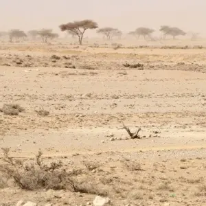 Explore In the land of the Soomaali for 10 days with DIAMIR Erlebnisreisen and discover unforgettable experiences - Photo 3