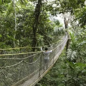 Explore South America: Off the Beaten Track Deep Into the Rainforest for 18 days with DIAMIR Erlebnisreisen and discover unforgettable experiences - Photo 3