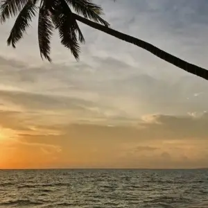 Explore In Style: Between Halong Bay and the Mekong Delta for 17 days with DIAMIR Erlebnisreisen and discover unforgettable experiences - Photo 4