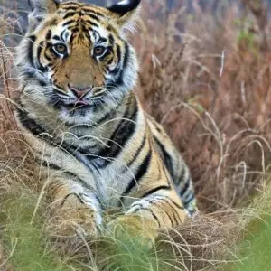 Explore Grand Tour of India through a Country Full of Wonders for 21 days with DIAMIR Erlebnisreisen and discover unforgettable experiences - Photo 4