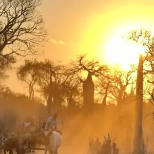 Explore Bamboo Lemurs and Sea for 15 days with DIAMIR Erlebnisreisen and discover unforgettable experiences - Photo 2