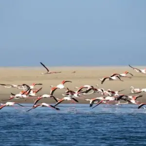 Explore Namibia Highlights for 16 days with DIAMIR Erlebnisreisen and discover unforgettable experiences - Photo 3