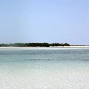 Explore In the land of the Soomaali for 10 days with DIAMIR Erlebnisreisen and discover unforgettable experiences - Photo 5