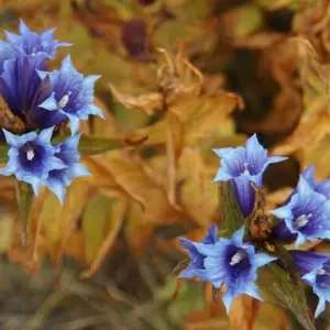 Explore In the Enchanted Mountains of the Balkans and the Wild Dinarides for 12 days with DIAMIR Erlebnisreisen and discover unforgettable experiences - Photo 3