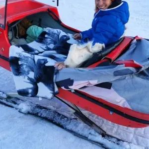 Explore A winter dream in Swedish Lapland for 6 days with DIAMIR Erlebnisreisen and discover unforgettable experiences - Photo 5