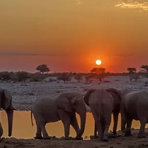 Explore Namibia Highlights for 16 days with DIAMIR Erlebnisreisen and discover unforgettable experiences - Photo 6