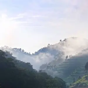 Explore Green pearl on the African Equator for 15 days with DIAMIR Erlebnisreisen and discover unforgettable experiences - Photo 11