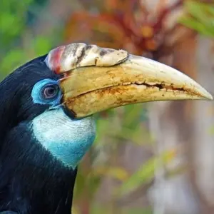 Explore Crocodile Men, Birds of Paradise and Wig Warriors for 17 days with DIAMIR Erlebnisreisen and discover unforgettable experiences - Photo 10