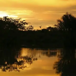 Explore South America: Off the Beaten Track Deep Into the Rainforest for 18 days with DIAMIR Erlebnisreisen and discover unforgettable experiences - Photo 9