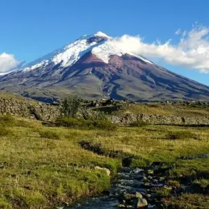 Explore Ecuador Highlights for 13 days with DIAMIR Erlebnisreisen and discover unforgettable experiences - Photo 7