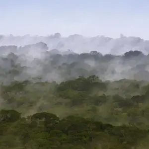 Explore South America: Off the Beaten Track Deep Into the Rainforest for 18 days with DIAMIR Erlebnisreisen and discover unforgettable experiences - Photo 10