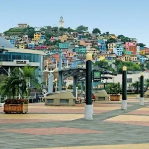 Explore Ecuador Highlights for 13 days with DIAMIR Erlebnisreisen and discover unforgettable experiences - Photo 8