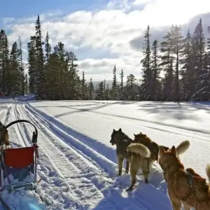 Explore A winter dream in Swedish Lapland for 6 days with DIAMIR Erlebnisreisen and discover unforgettable experiences - Photo 10