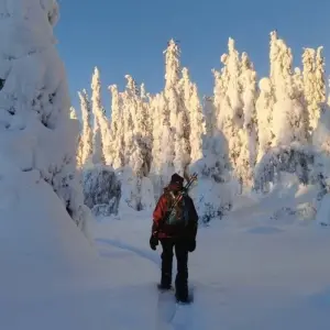 Explore A winter dream in Swedish Lapland for 6 days with DIAMIR Erlebnisreisen and discover unforgettable experiences - Photo 11