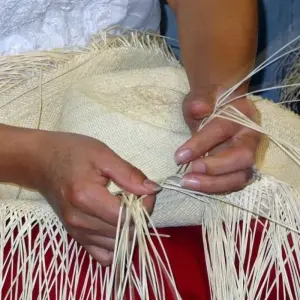 Explore Ecuador Highlights for 13 days with DIAMIR Erlebnisreisen and discover unforgettable experiences - Photo 10