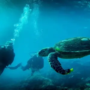 Explore 4 Star Dubai Magic 6 Days / 5 Nights for 6 days with Daytur Dubai and discover unforgettable experiences - Photo 4