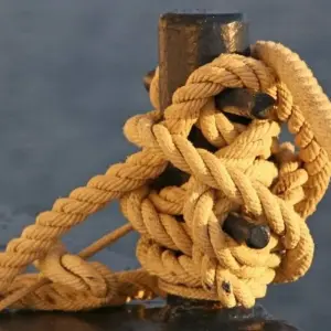 Explore Photography Trip to the Autumnal Riot of Colour in the Arctic for 14 days with DIAMIR Erlebnisreisen and discover unforgettable experiences - Photo 9