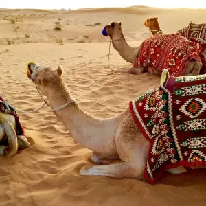 Explore Discover Dubai - 4 Days / 3 Nights for 4 days with Daytur Dubai and discover unforgettable experiences - Photo 9