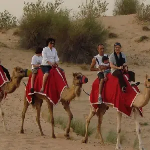 Explore 5 Star Explore Dubai Package 4 Days & 3 Nights for 4 days with Daytur Dubai and discover unforgettable experiences - Photo 9