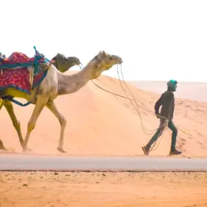 Explore Glorious Rajasthan Private Tour 13 Days - Delhi Agra Jaipur Bikaner Jaisalmer Jodhpur Udaipur for 13 days with Delight Tours India and discover unforgettable experiences - Photo 11