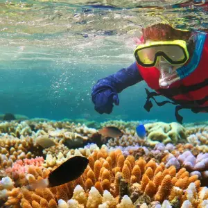 Explore Experience Cairns (3 nights) for 4 days with DERTOUR and discover unforgettable experiences - Photo 5