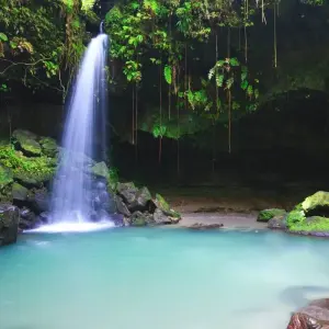 Explore Discover Dominica's treasures for yourself for 8 days with DERTOUR and discover unforgettable experiences - Photo 11