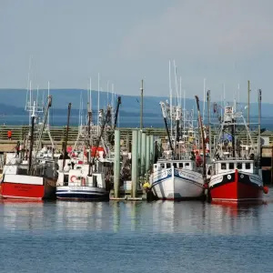 Explore French way of life & maritime flair for 19 days with DERTOUR and discover unforgettable experiences - Photo 8